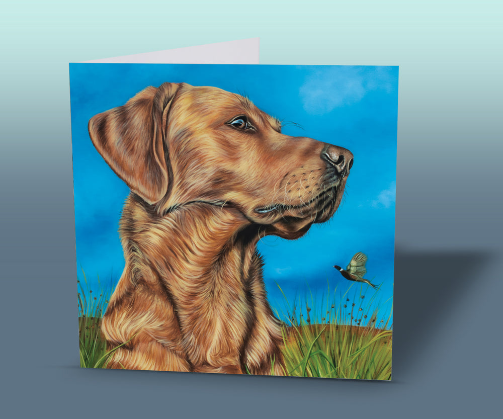 card red retriever