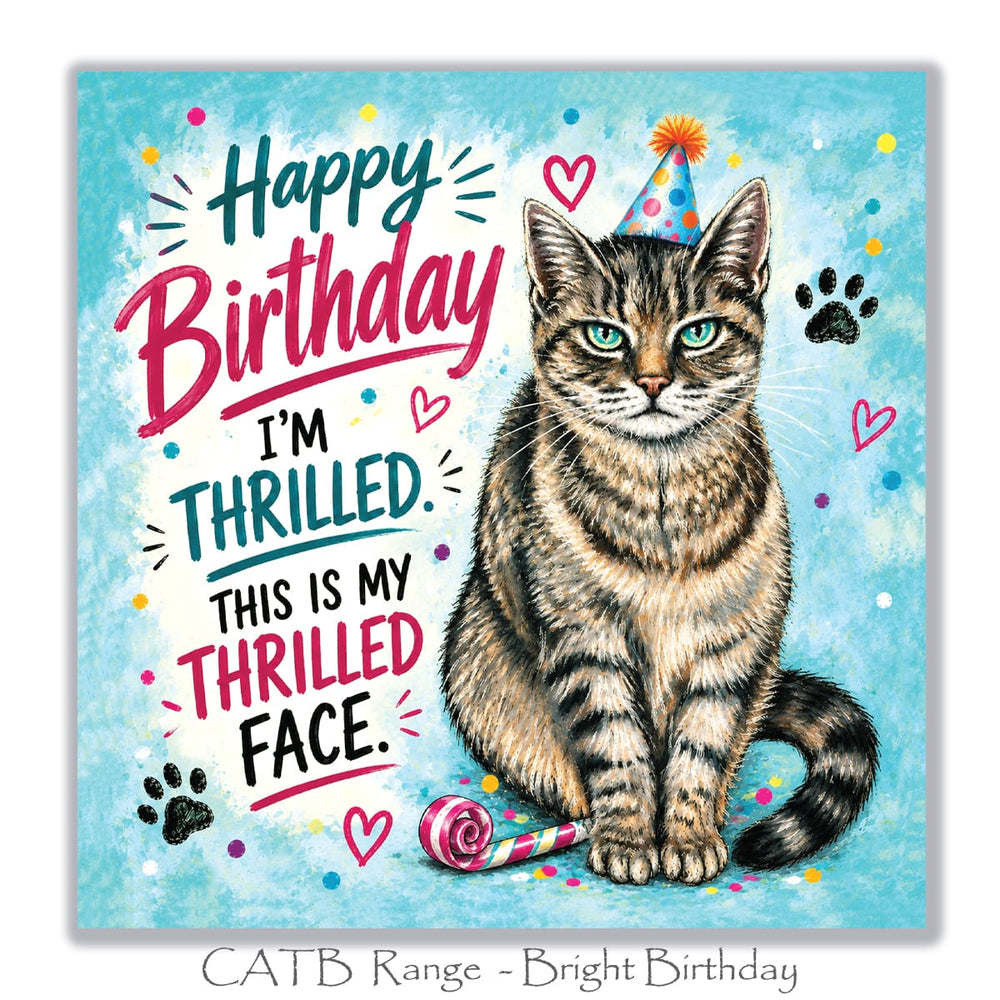 Funny cat birthday card featuring a grumpy tabby cat wearing a colourful party hat with This Is My Thrilled Face birthday message.
