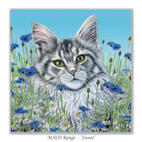 birthday card cat Maine Coon