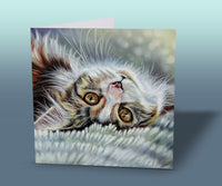 Tortoiseshell Cat Greeting Card