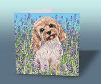 cavapoo greeting card