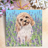 cute cavapoo greeting card