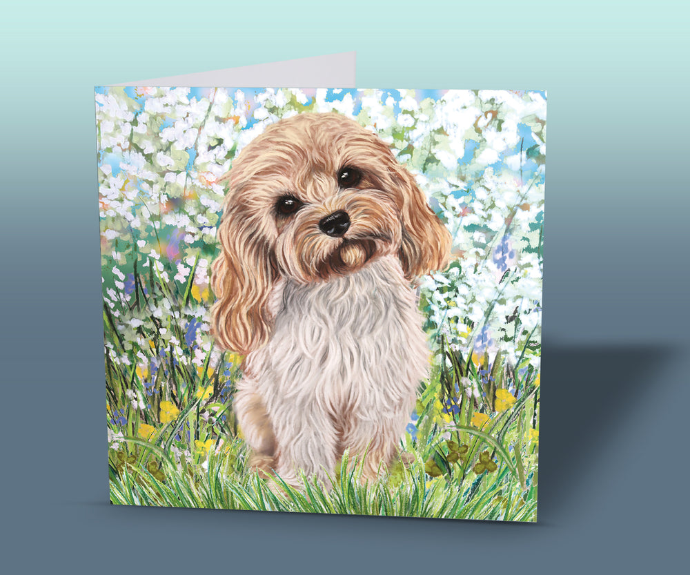 cavapoo birthday card