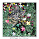 Unique Christmas card featuring a curious tabby cat peeking out from behind Christmas tree branches – perfect for cat lovers