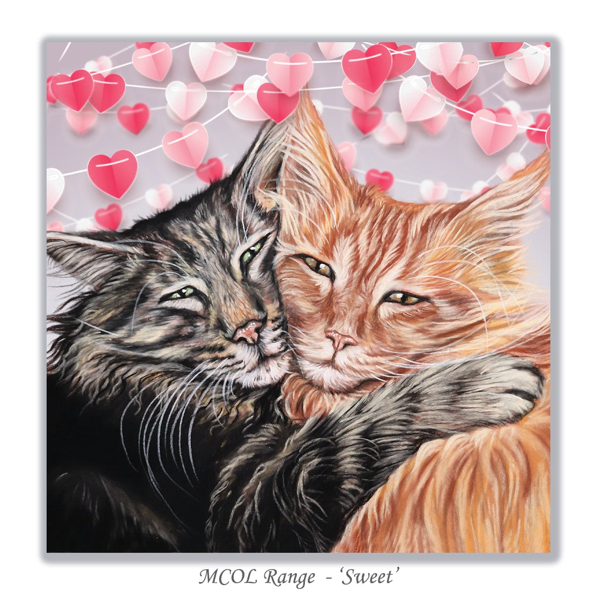 greeting card with cuddling Maine Coon cats