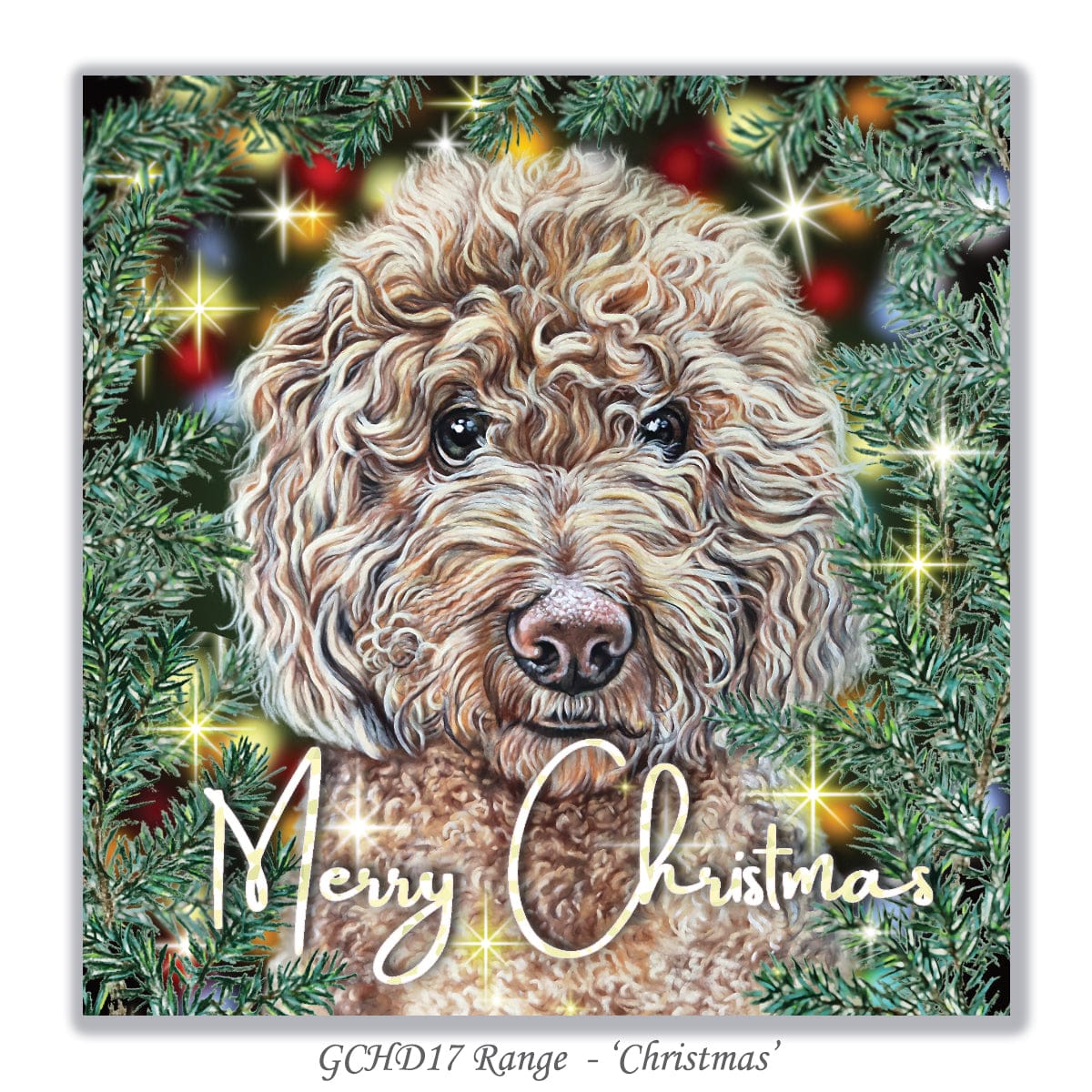 labradoodle christmas card