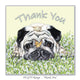Cute Pug with a butterfly sitting on its nose thank you card - perfect for dog lovers