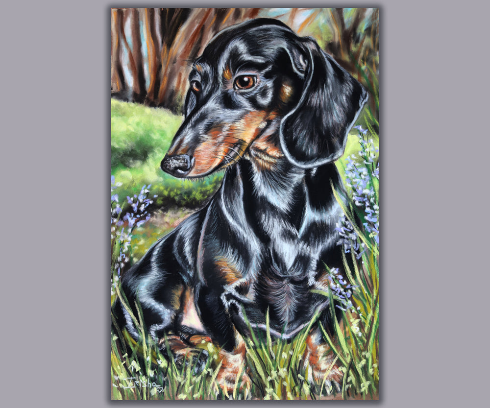 dachshund wall art