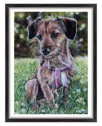dog custom portrait from photo 