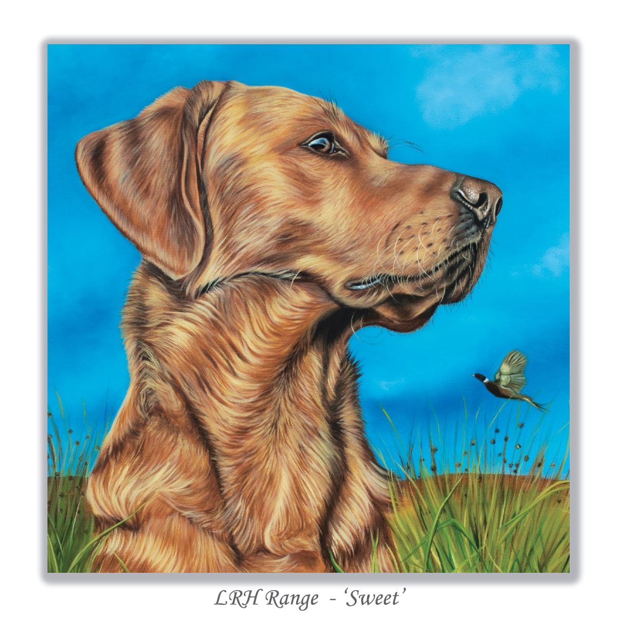 dog lover greeting card featuring red labrador retriever