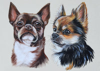 Two sketch type drawings of dogs on a beige background