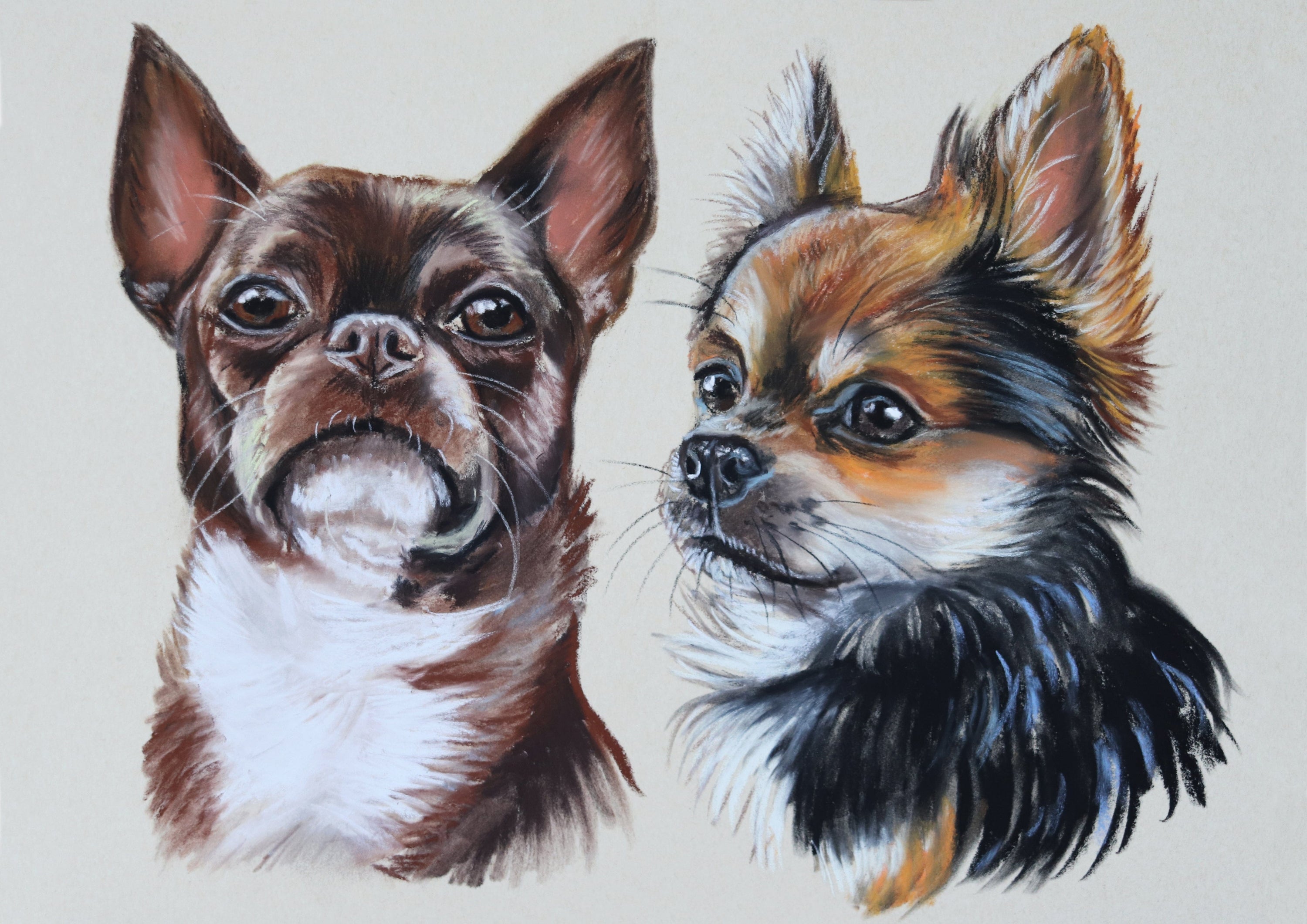 Two sketch type drawings of dogs on a beige background