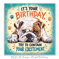 Humorous Bulldog birthday greeting card with a grumpy-looking brown and white English Bulldog, colourful paw prints and turquoise background.