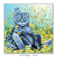 scottish fold card