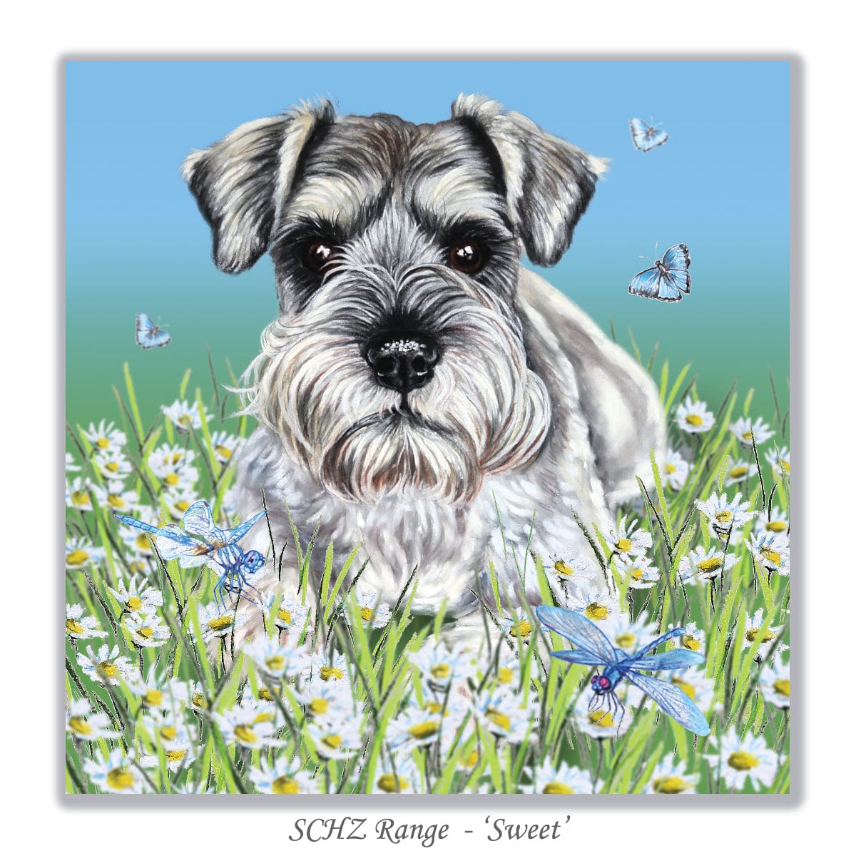 Schnauzer greeting card for dog lovers