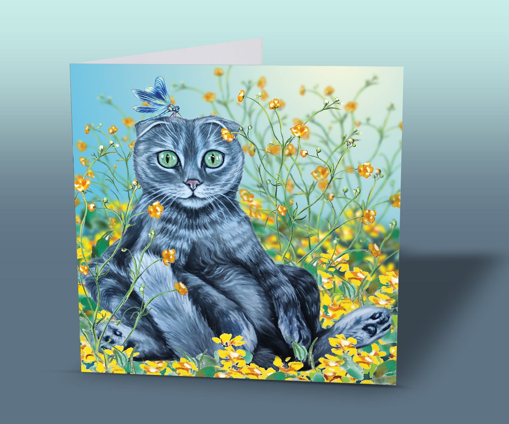 greeting card scottish fold