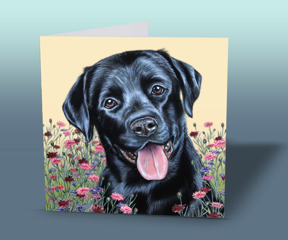 greeting card black lab