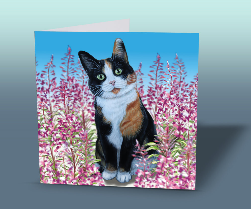 greeting card multicoloured cat