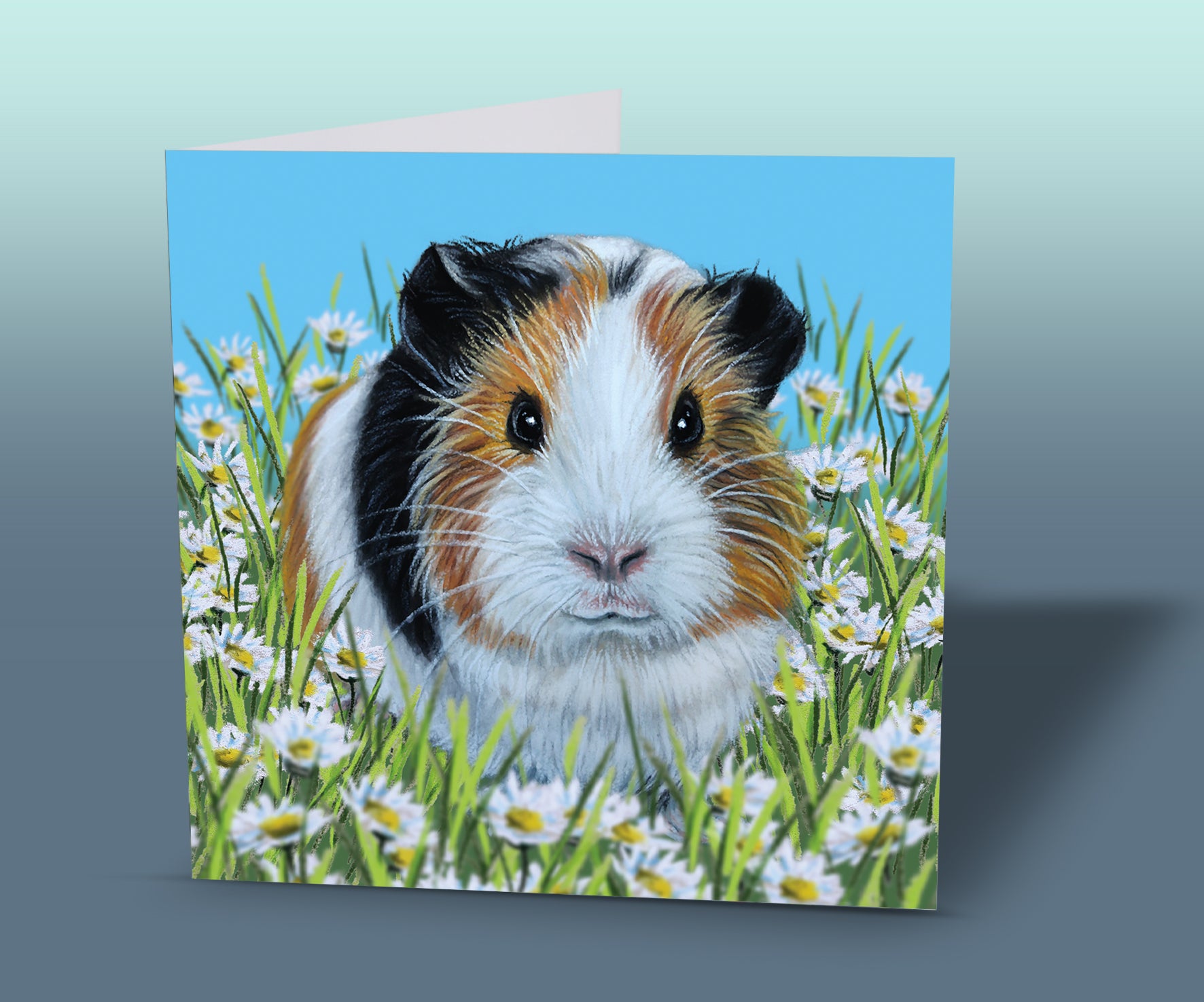 guinea pig card