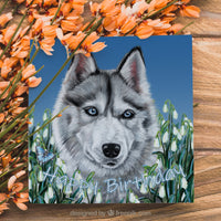 husky birthday card