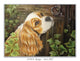 King Charles Spaniel greeting card – dog sitting by a weathered garden door in a magical secret garden, from original painting by Irisha