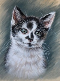 Custom drawing of a black and white kitten with green eyes on a textured grey background