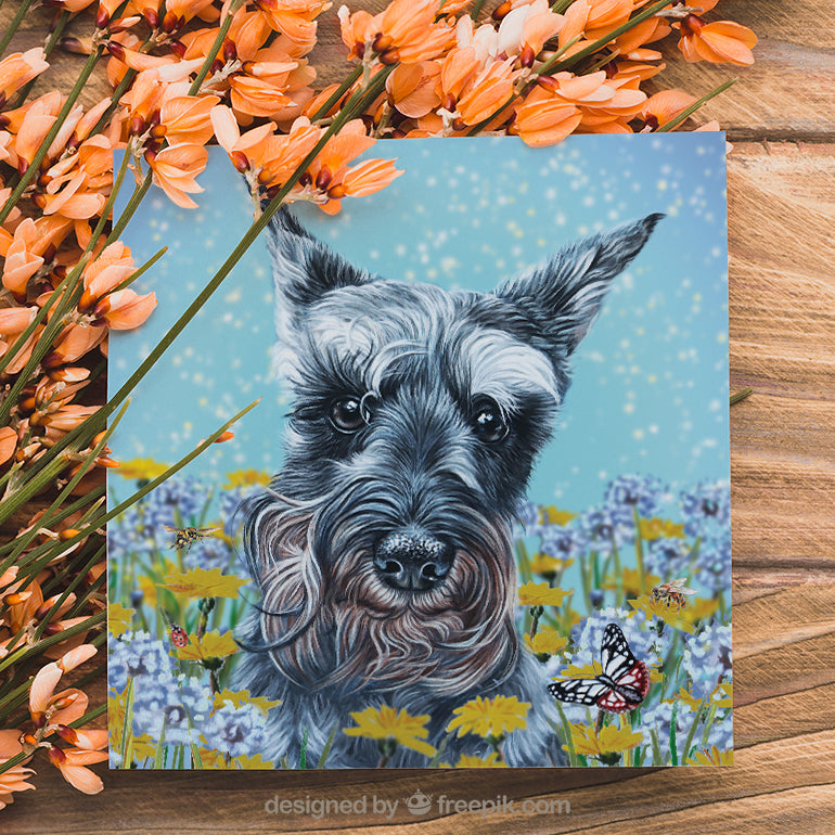 miniature schnauzer greeting card