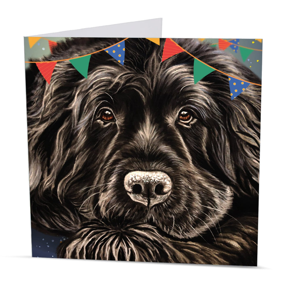 newfoundland birthday card