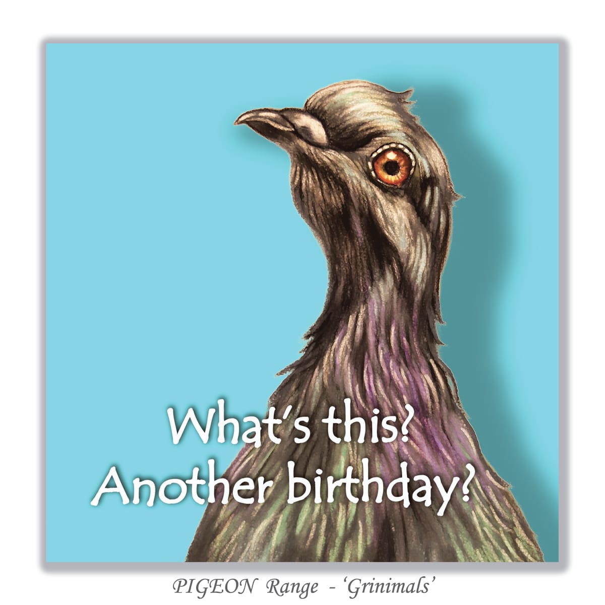 Quirky pigeon greeting card for birthdays featuring a colourful illustrated pigeon and humorous birthday message