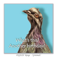 Quirky pigeon greeting card for birthdays featuring a colourful illustrated pigeon and humorous birthday message