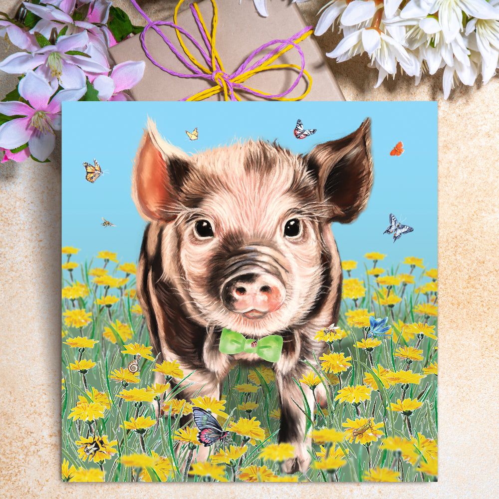 piglet card