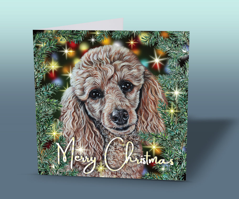 poodle christmas card