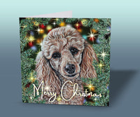 poodle christmas card