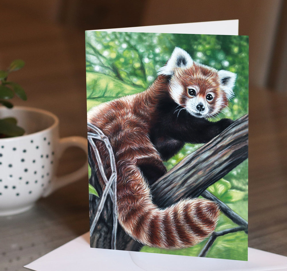 red panda card
