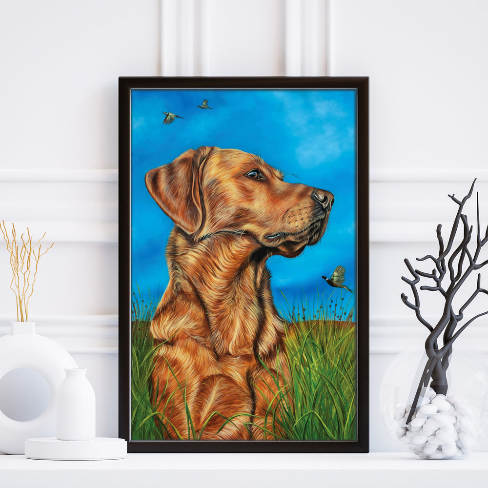 red retriever fine art print