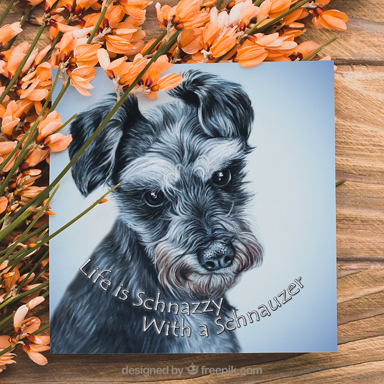 schnauzer greeting card