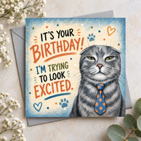 Humorous grey cat birthday greeting card with a sarcastic expression, colourful lettering, blue background, hearts and paw prints.
