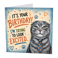 Square 15 x 15 cm funny cat birthday card featuring original grey cat artwork by Irisha, printed on premium 350 gsm textured cardstock.
