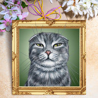 Scottish fold greeting card