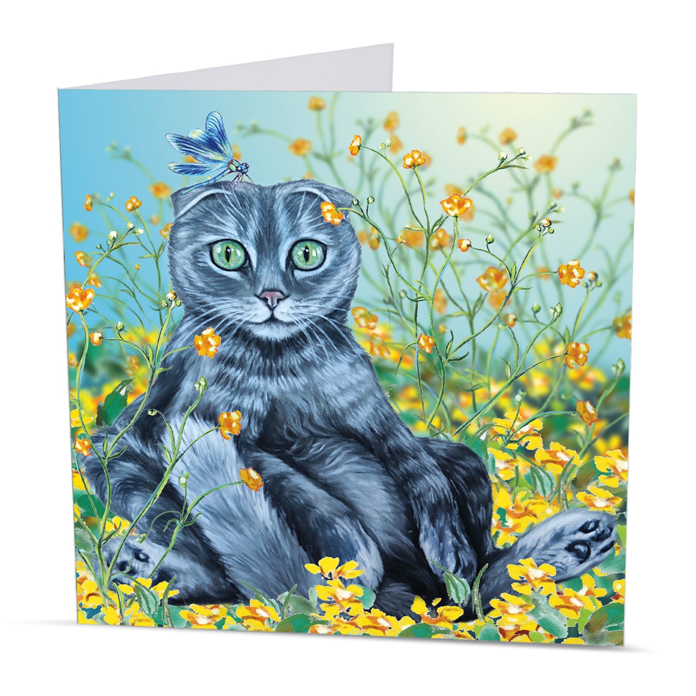 scottish fold greeting card