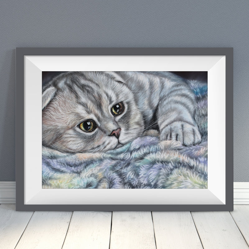 scottish fold wall art