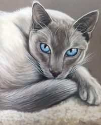 Custom portrait of a cat with blue eyes lying on a textured surface