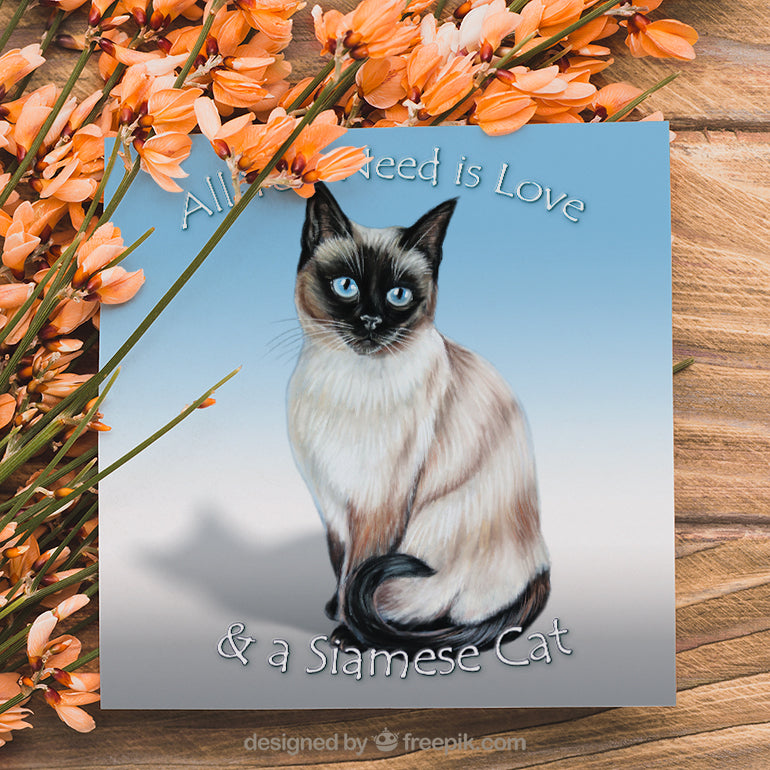 siamese cat card