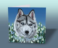 siberian husky birthday card