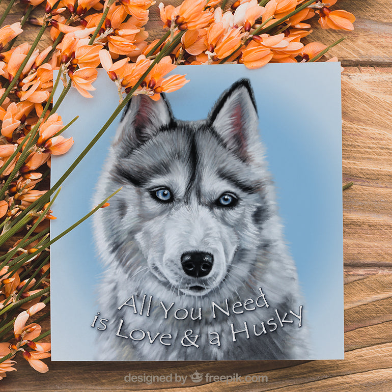 siberian husky greeting card