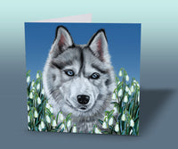 siberian husky card