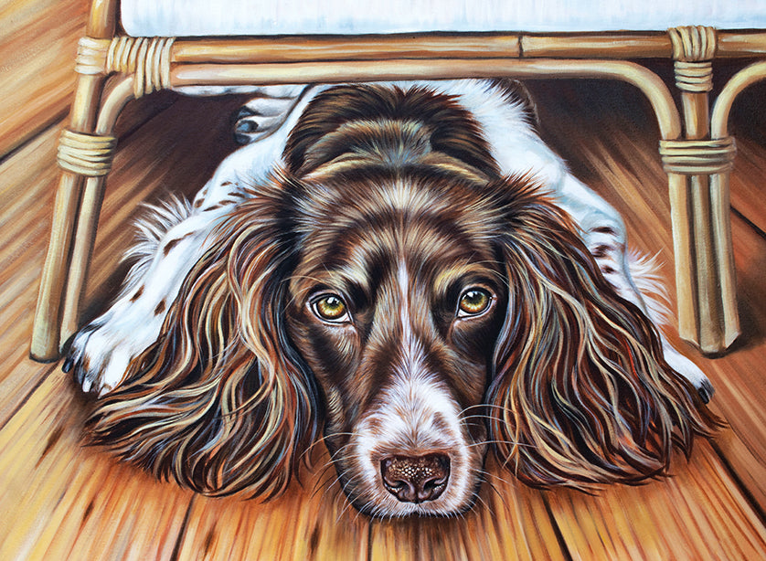 springer spaniel wall art