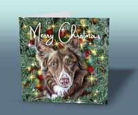 welsh collie christmas card