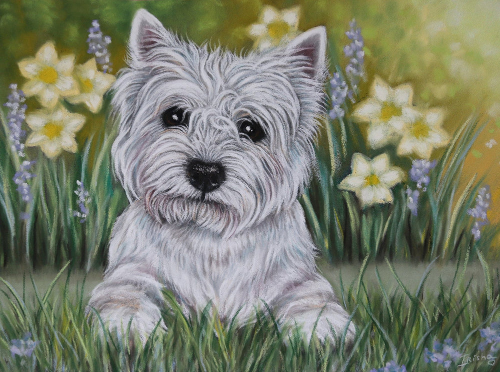 westie wall art