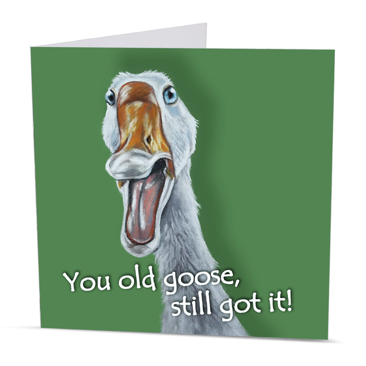 Humorous animal greeting card with a cheeky goose illustration on a green background, perfect for milestone birthdays.